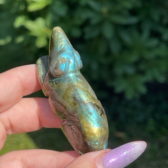 Hand carved Labradorite Dog Crystal Carving